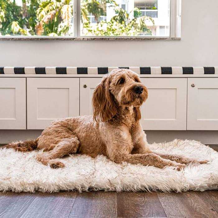 White Portable Orthopedic Dog Bed Z1762