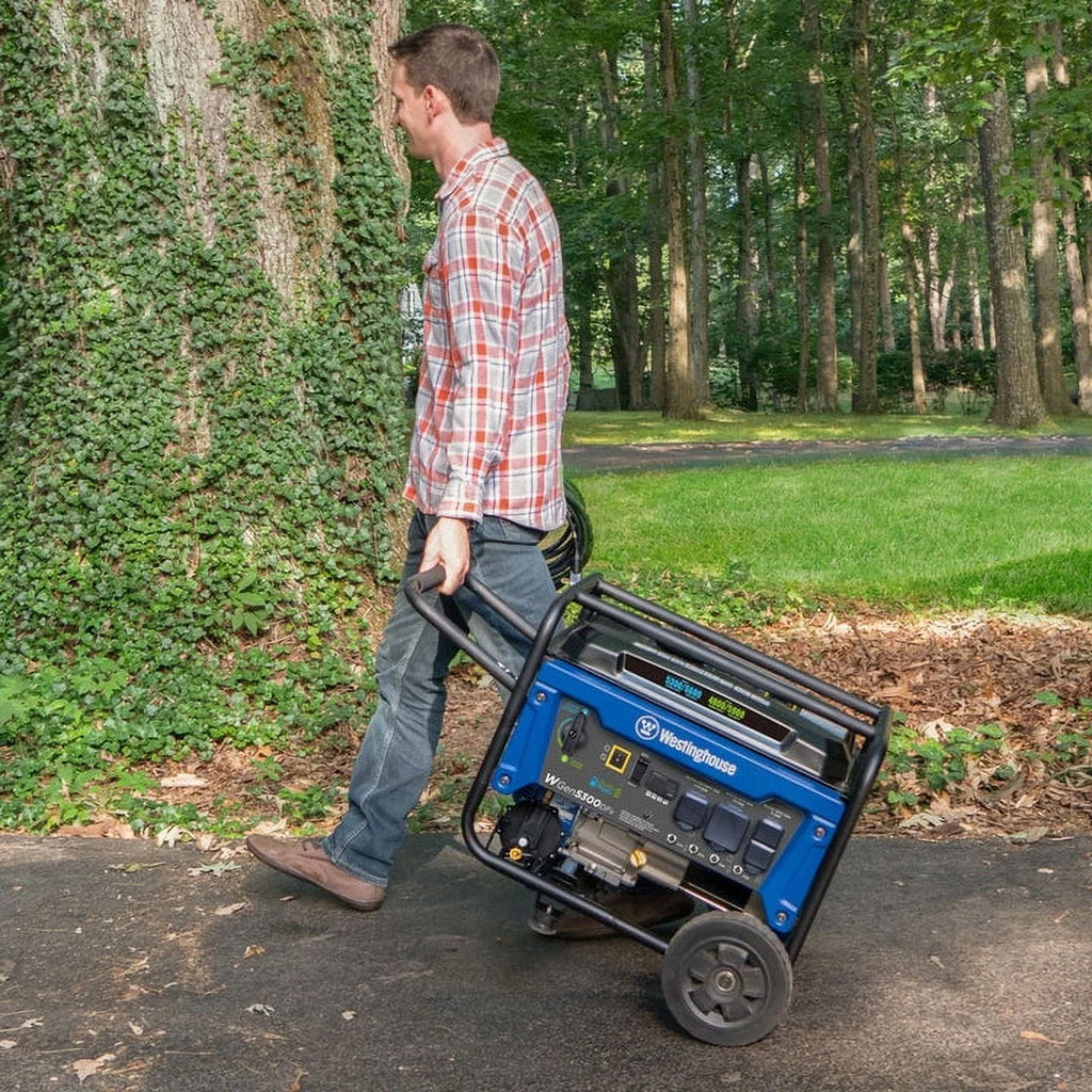 Portable Dual Fuel Generator L3128