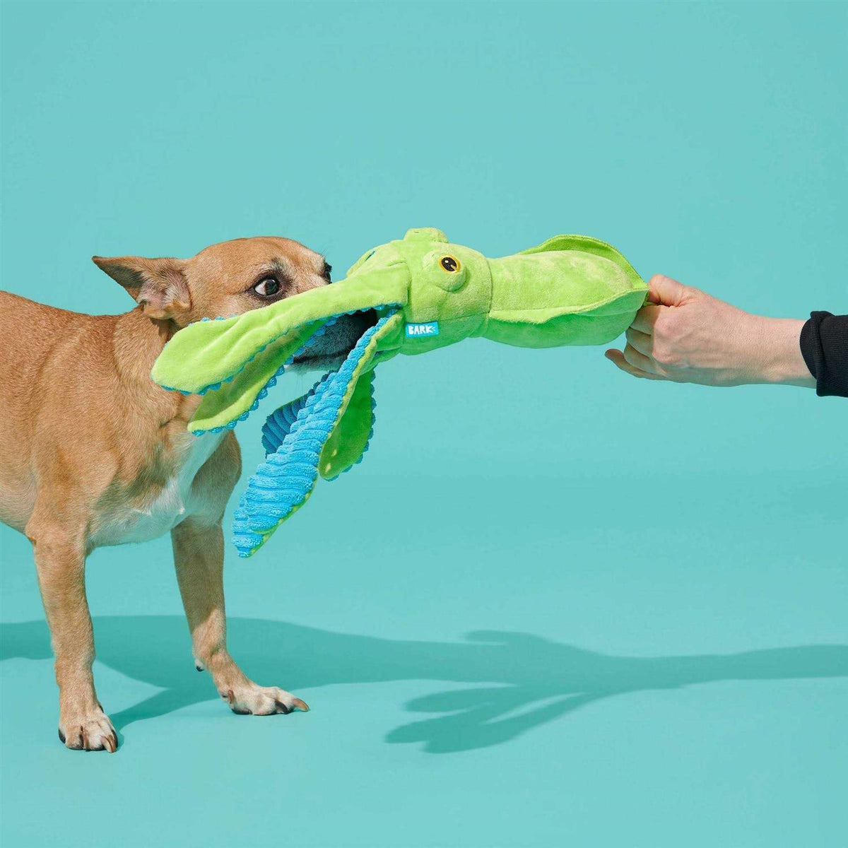 Dog Toy G9497